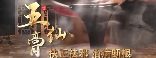 守护华夏中医文化瑰宝